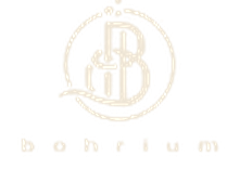 Bohrium